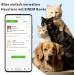 Personalized Dog Stamps & Engraved QR Code Tags | Customizable Pet Profiles | 2PCS-30MM | Ideal for Dogs & Cats | International Shipping - Buy Online on SooperMarket.com