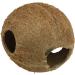 JBL 61514 Coconut Shell Cave for Aquariums & Terrariums - Cocos Cava 1/1 MM | International Shipping Available - Buy Online on SooperMarket.com