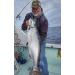 Acme Little Cleo 1/8 oz Fire Tiger Fishing Terminal Tackle - Buy Online on SooperMarket.com