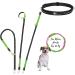 Leisengr n Jogging Line for Small Dogs (Up to 10 kg) | 135-185 cm Adjustable Freehand Leash with Belly Belt | Black Set for Jogging Enjoyment - Buy Online on SooperMarket.com