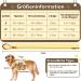 Buy Multi-Purpose Dog Harness with Leash Set - Outbreak-Proof & Anti-Train for Small to Medium Dogs (Beige M) - International Shipping Available - Buy Online on SooperMarket.com