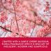 Baylis & Harding Boudoire Cherry Blossom Luxury Pamper Tin Gift Set - Vegan Friendly - Buy Online on SooperMarket.com