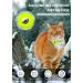 Buy Luminous Yellow Airtag Cat Neck Band | Reflective Kitten Collar with Bell | Light Tracker for Young Cats - Buy Online on SooperMarket.com