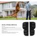 Dog Leg Brace Arthritis Relief Joint Protection Pain Reduction 1 Pair Flexible Dog Knee Pads Recovery (L for 12 to 36 Months) - Buy Online on SooperMarket.com