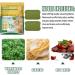 JIAWEIIY Natural Health Wormwood Body Pads Bodiluvs Wormwood Burning Foot Patch Wormwood Foot Patch Wormwood Body De_toxing Pads Natural Herb Wormwood Foot Pads (24PCS) - Buy Online on SooperMarket.com