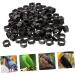 Angoily 300 Pcs Pigeon Anklet Duck Oyster Shell for Pigeon Identification Ring Network Management Bayonet 1.3X1.3CMx3pcs Blackx3pcs - Buy Online on SooperMarket.com