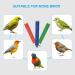 Patikil 0.6x7.9 Vogel Paw Bird Cage Stand - Ideal Accessories for Small Birds Parrots & Love Birds - Durable Wood Bars in Red - Buy Online on SooperMarket.com