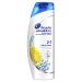 Head and Shoulders 2-in-1 Citrus Fresh Shampoo and Conditioner 450 ml