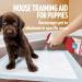 OUT! Indoor and Outdoor Dog and Puppy Training Spray | House-Training Aid| 500ml 500 ml (Pack of 1) - Buy Online on SooperMarket.com