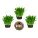 Cat Grass Kits x3 and Extra Strong Catnip x1 By Cat FurNature