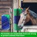 Generic Scratch Brush for Farm Animals - Cattle Cow & Horse Massage Cleaning Brushes | International Shipping - Buy Online on SooperMarket.com
