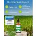 Wolfsbach Organic Hemp Oil for Dogs & Cats 50ml - Omega 3 & 6 Cold-Pressed 100% Organic from Germany | BARF & Feed Oil - De- ko-060 - Buy Online on SooperMarket.com