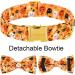 Shop Pumpkin Ghost Aring Pet Dog Collar - Adorable Halloween Collars for Boys & Girls X-Large Metal Buckle - Perfect Gifts! - Buy Online on SooperMarket.com
