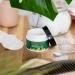 Desert Essence Tea Tree Oil Skin Ointment - Moisturizer with Jojoba Lavender & Vitamin E - 1 Fl Oz (Pack of 6) | Best for Dry Skin & Irritations - International Shipping Available - Buy Online on SooperMarket.com
