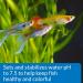 API PROPER pH 7.5 Freshwater Aquarium Water pH Stabilizer 260 g Container - Buy Online on SooperMarket.com