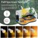 Shengruili Turtle Heat Lamp - 25W & 50W Reptiles Lamp for Terrarium | Optimal Heat for Turtles & Reptiles - Buy Online on SooperMarket.com