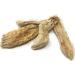 Whole Orris Root - Orris Root Contains Essential Oils Flavonoids and is Used in Perfumes - Net Weight: 1.76oz / 50g - Buy Online on SooperMarket.com