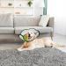 ZEEJORY Adjustable Cat & Dog Cone Collar for Fast Healing - M(28-37cm/11-14.5in) - Buy Online on SooperMarket.com