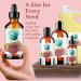 Shop Bella Terra Prickly Pear Oil 4 oz - Nourishing Cactus Oil with Omega-6 & Vitamin K - Experience Natural Luxury - Buy Online on SooperMarket.com