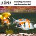Koipon Pon Balls 5L - Nitrifying Bacteria & Microorganisms for Pond Maintenance | Starter for Garden Fish & Swimming Ponds | Filter Bacteria Gel Balls - Buy Online on SooperMarket.com