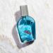 PB ParfumsBelcam Nitro Eau De Toilette Spray Our Version of a Designer EDT 100ml. - Buy Online on SooperMarket.com