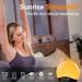 Bluetooth Daylight Alarm Clock with Sunrise Simulation & 22 Natural Sounds | Wake Up Light & Bedside Lamp for Kids - 20 Brightness Levels - Buy Online on SooperMarket.com