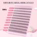 Parriparri 20D-0.07C 200Pcs Cluster False Eyelashes Extension | DIY At Home C Curl Russian Lashes | Individual 8-16MM Mix - Buy Online on SooperMarket.com