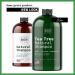 Tea Tree Dandruff Shampoo for Thinning Hair and Hair Loss - Sulfate Free with Peppermint Oil & Vitamin E - 16 Fl Oz - Made in USA - Buy Online on SooperMarket.com