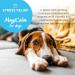 MagiCalm For Dogs | Healthspan | 60 Tablets | Anxious Dogs | Magnesium | B Vitamins | Chamomile | Pet Health | Vegetarian - Buy Online on SooperMarket.com