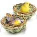 SunGrow Birds Nest for Finch, Canary, Pigeon, Parakeet - Encourages Courtship, Breeding, Nesting - Buy Online on SooperMarket.com