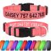 Tagme personalized dog collar for medium dog with embroidered reflective nylon dog collar with PET name & telephone number baby or