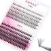 DIY Eyelash Extension 200Pcs Roots Lash clusters D Curl 8/10/12/14/16mm Mixed Tray Melt Flare Lashes Natural Individual Lashes Reusable False Lashes Extension (10D+20D Roots-0.07-D,8-16mm Mix) 10P+20P-Cluster 0.07-D 8-16mm…