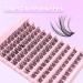 Bransfy Cluster Lashes D Curl 100 Pcs | Natural Look False Eyelashes Extension | Reusable DIY Eyelash Extension | Super Thin Band | Soft & Comfortable | D 0.07 8-16mm - Buy Online on SooperMarket.com