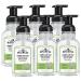 J.R. Watkins Foaming Hand Soap Pump with Dispenser Moisturizing All Natural Hand Soap Foam Alcohol-Free Cruelty-Free USA Made Use as Kitchen or Bathroom Soap Aloe & Green Tea 9 fl oz 6 Pack Aloe & Green Tea 9 Fl ...