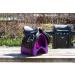 Nedlandic Saddle Carrier (Violet) - Premium International Shipping | Shop Now - Buy Online on SooperMarket.com