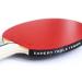 Palio Expert 3.0 Table Tennis Racket & Case - ITTF Approved Beginner Ping Pong Bat - Buy Online on SooperMarket.com