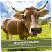 Buy Milk Hood Cow Breast Cover - Calf Weaner Tool for Cattle - Farm Supplies & Animal Husbandry Equipment - Buy Online on SooperMarket.com
