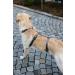 Kerbl 80044 Panic Harness Miami | Escape-proof Dog Harness | Grey 64-100cm | International Shipping Available - Buy Online on SooperMarket.com