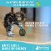 Raw Paws Compressed Catnip Ball Toy 6 Pack for Indoor Cats - All Natural Catnip Interactive Kicker Toy - Catnip Cat Toys for Kitties - Buy Online on SooperMarket.com