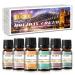 EUQEE Holiday Cheer Premium Grade Fragrance Oils Set of 6 - Forest Pine, Christmas Wreath, Brown Sugar, Harvest Spice, Gingerbread, Pumpkin Pie - Scented Oils for Diffuser, Candle Making (10ml)