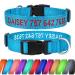 Tagme personalized dog collar for small dog with embroidered reflective nylon dog collar with pet name & telephone number sky blue XS XS (1 Pack) sky blue