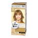 KAO Prettia Bubble Hair Color  Milktea Brown Milktea Brown 8 Ounce (Pack of 1)