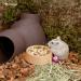 Niteangel Wooden Hamster Feeding Bowl - Small Animal Food Dish for Dwarf Syrian Hamsters Gerbils Mice Degus or Other Similar-Sized Small Pets (Hammy Pattern for Dwarf) Beige Hammy Pattern For Dwarf - Buy Online on SooperMarket.com