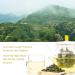 Oriarm Anxi Tie Guan Yin Oolong Tea 250g - Chinese Tikuanyin Green Wulong Loose Leaf Tea Tieguanyin Tea 250 g (Pack of 1) - Buy Online on SooperMarket.com