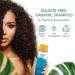 OM Botanical Sulfate-Free Peppermint Hair Shampoo | Ayurvedic Herbs for Hair Growth, Scalp Conditions | Men/Women | Works for Dyed Hair - Buy Online on SooperMarket.com
