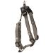 Nobby Harness Classic mouse grey Chest: 50/70 cm Width: 20 mm 1 piece grey Length 50-70 cm Width 20 mm