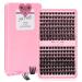 192 Pcs Lash Clusters 2 Styles Mixed Cluster Lashes DIY Eyelash Extensions Eyelash Cluster Extension DIY Individual Lashes Super Thin Band Soft and Easy to Wear (Into You-01+Into You-02 D-Mix) 8-16mix(192PCS)D Curl Into You-01+Into You-02