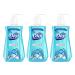 Dial Liquid Hand Soap Spring Water 7.5 Ounce 3 Pack