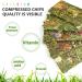X-pet Natural Timothy Hay Chips Chew Treats for Dental Health | Small Animal Snacks for Rabbits, Hamsters, Guinea Pigs, Chinchillas - Buy Now! - Buy Online on SooperMarket.com