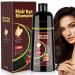 Dark Brown Hair Dye Shampoo for Gray Hair 3 in 1 Hair Color Shampoo for Women & Men Color Shampoo Hair Dye in Minutes